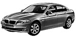 BMW F10 P265C Fault Code